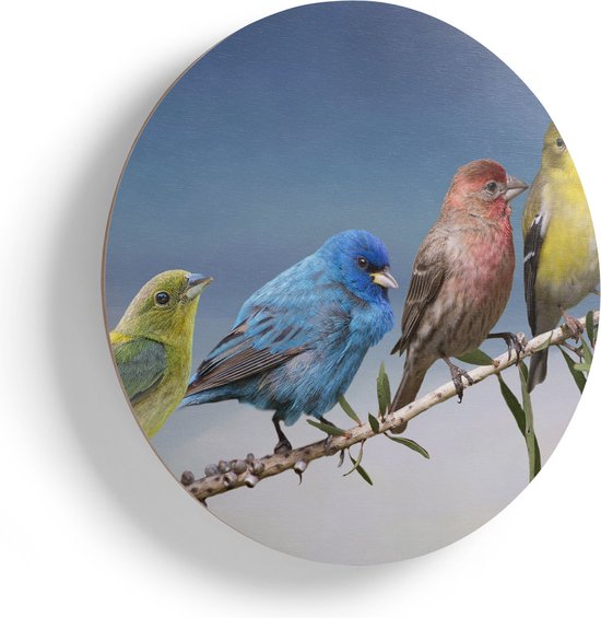Artaza Houten Muurcirkel - Kleurrijke Zangvogels Op Een Tak - Kleur - Ø 65 cm - Multiplex Wandcirkel - Rond Schilderij