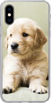 Geschikt voor iPhone X hoesje - Golden Retriever puppy liggend op de bank - Siliconen Telefoonhoesje