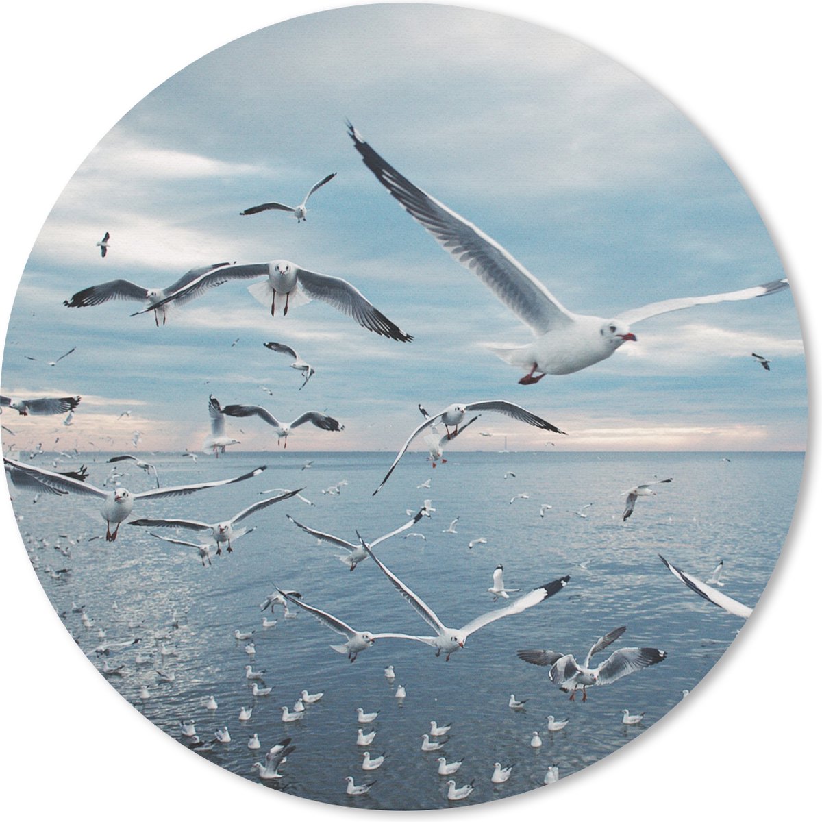 Muismat rond 20x20 cm - Mousepad Vogel - Zee - Zwerm - Ronde muismatten
