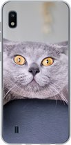 Coque Samsung Galaxy A10 - Chat - Bang - Chaise - Coque de téléphone en Siliconen