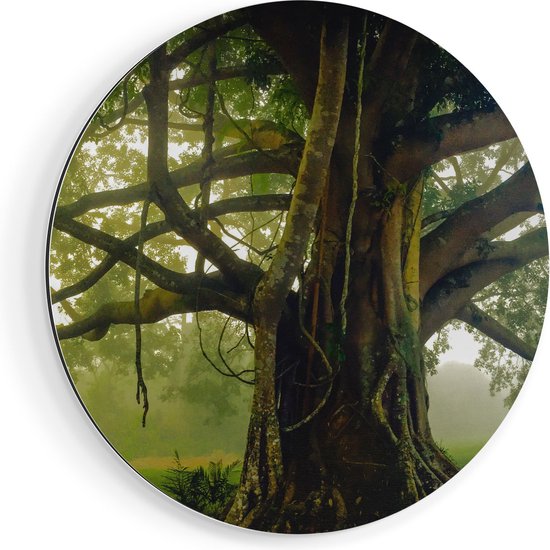 Artaza Dibond Muurcirkel Grote Levensboom Met Veel Takken - Ø 90 cm - Groot - Wandcirkel - Rond Schilderij - Voor Binnen en Buiten