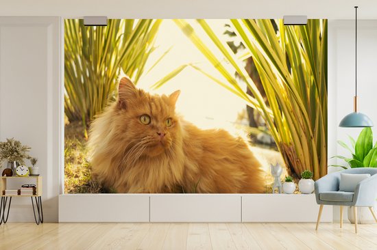 Papier peint photo vinyle - Chat persan parmi les plantes largeur 450 cm x hauteur 300 cm - Tirage photo sur papier peint (disponible en 7 tailles)
