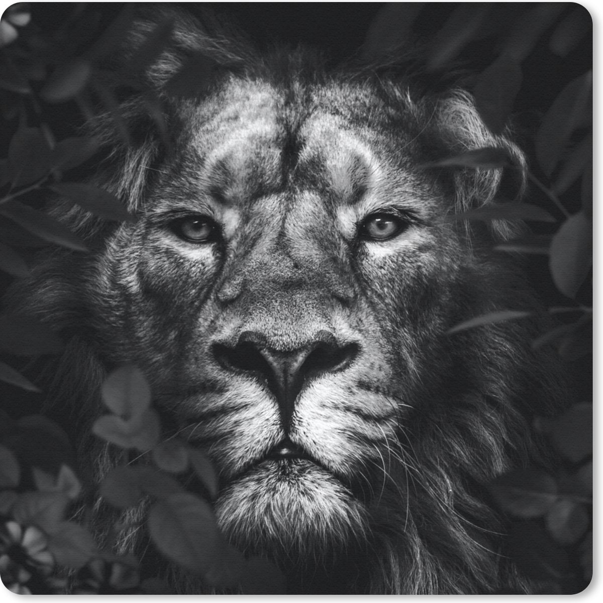 Muismat 30x30 cm - Mousepad Leeuw - Dieren - Jungle - Zwart - Wit - Muismatten