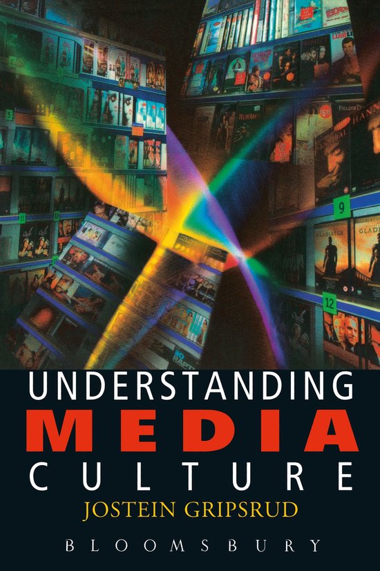 Understanding Media Culture - cover