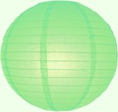 5 x Lampion licht groen (kleur 1) 45 cm