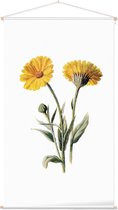 Goudsbloem 2 (Common Marigold White) - Foto op Textielposter - 60 x 90 cm