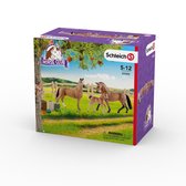 Schleich paardenclub Hanoverian family in the pasture
