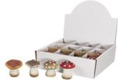 Herfst Artikelen - Box 12 Terracotta Mushrooms Keuzemogelijkheden 5.5 Cm