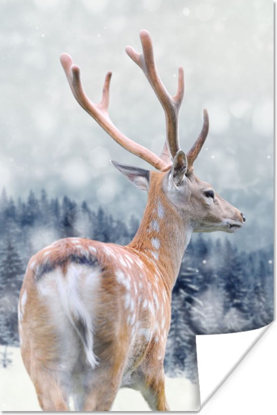 Affiche Hiver - Cerf - Animaux - 80x120 cm