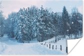 Poster Bos - Sneeuw - Winter - 30x20 cm - Kerstmis Decoratie - Kerstversiering - Kerstdecoratie Woonkamer - Kerstversiering - Kerstdecoratie voor binnen - Kerstmis