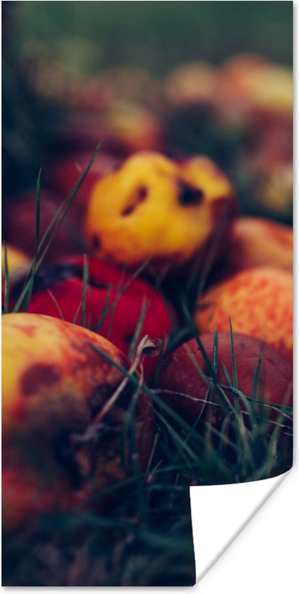 Poster Landelijke decoratie - Herfst - Appel - Fruit - 80x160 cm
