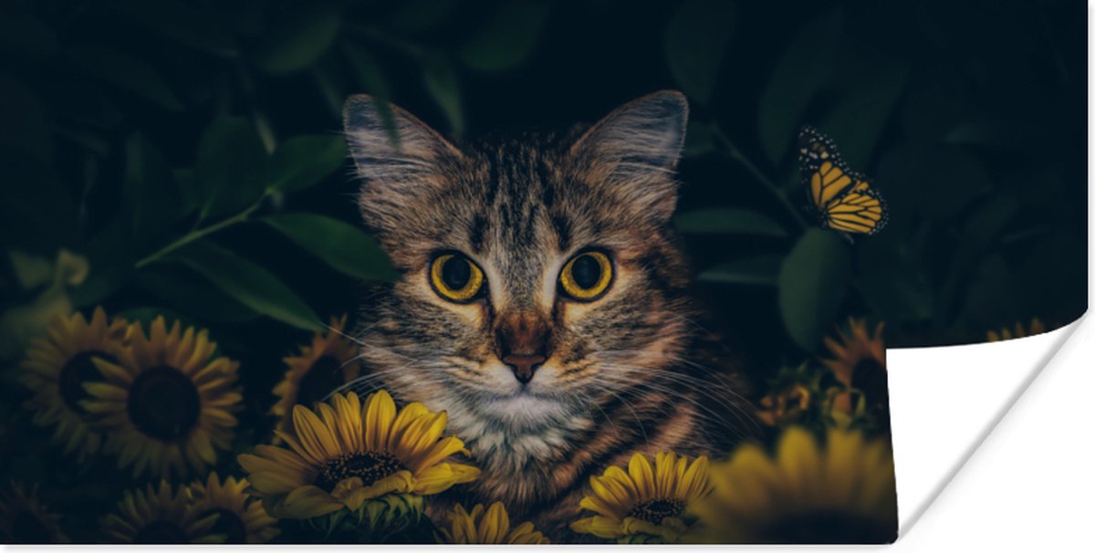 Poster Kat - Geel - Bloemen - Botanisch - 40x20 cm