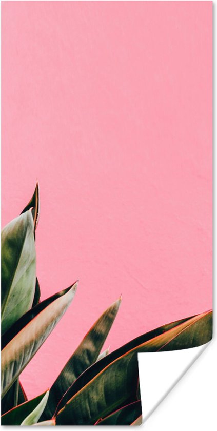 Poster Planten - Bladeren - Vrouwentong - Roze - Tropisch - 20x40 cm