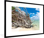 Fotolijst incl. Poster - Strand - Takken - Tropisch - Zee - 80x60 cm - Posterlijst