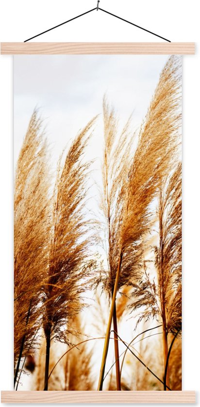Poster Pampas Grass Grey 02, Studio Collection | Muur posters | 3 1 GRATIS