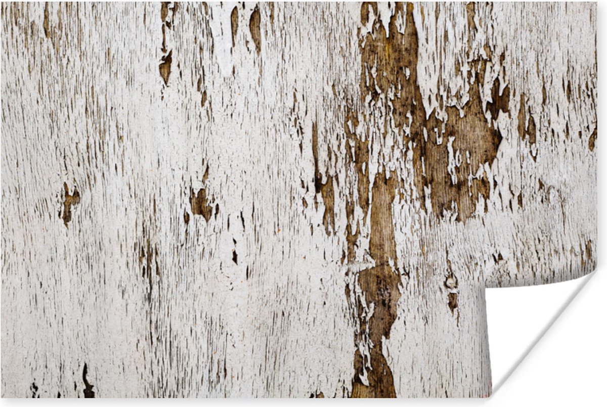 Poster Hout - Rustiek - Boom - 90x60 cm