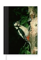 Notitieboek - Schrijfboek - Een grote bonte specht tegen boom - Notitieboekje klein - A5 formaat - Schrijfblok