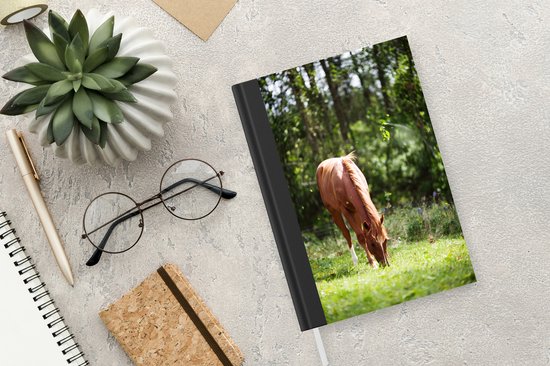 horses dreams Paarden notitiebox - Voor je paardenspullen, inclusief potlood - 2 stuks
