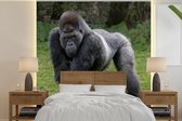 Behang - Fotobehang Een Gorilla loopt op zijn handen en benen - Breedte 350 cm x hoogte 350 cm