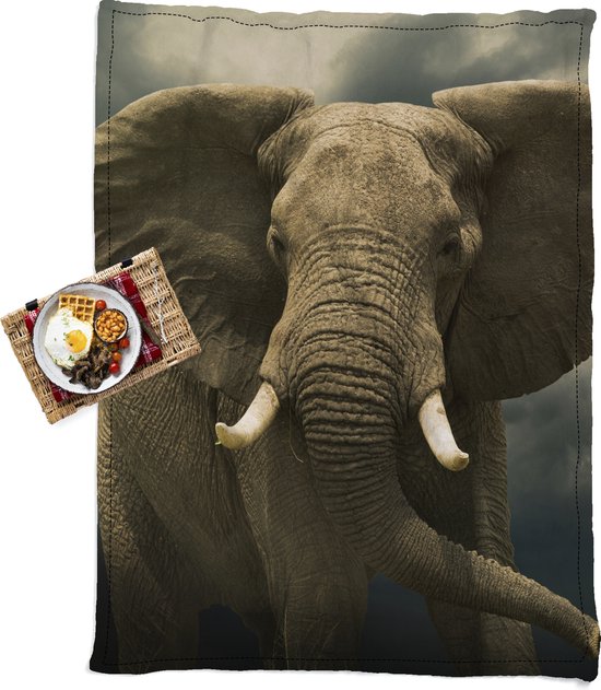 Lunch metalen Odysseus Waterdicht Picknickkleed - Geschikt als Strandlaken / Strandmat -  Afrikaanse olifant... | bol.com