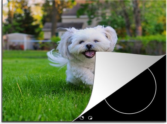 Inductie beschermer - Inductie Mat - Een Shih Tzu hond loopt door het groene gras - 59x51 cm - inductiebeschermer