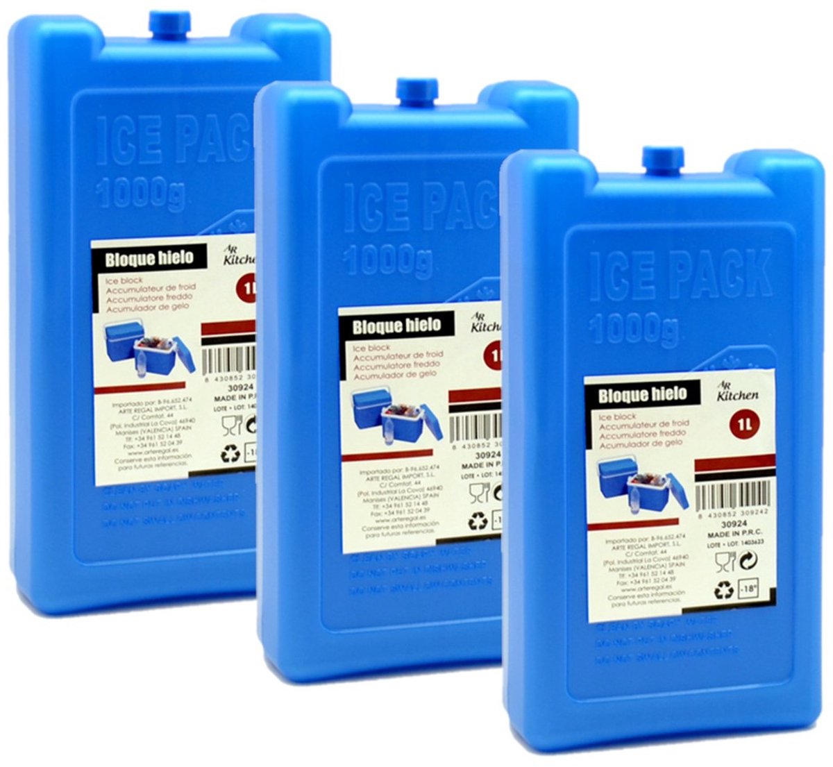 Arte R Koelelementen - Set van 10x stuks - groot blok - 1000 ml - 11 x 5 x 22 cm - blauw - voor koeltas en koelbox