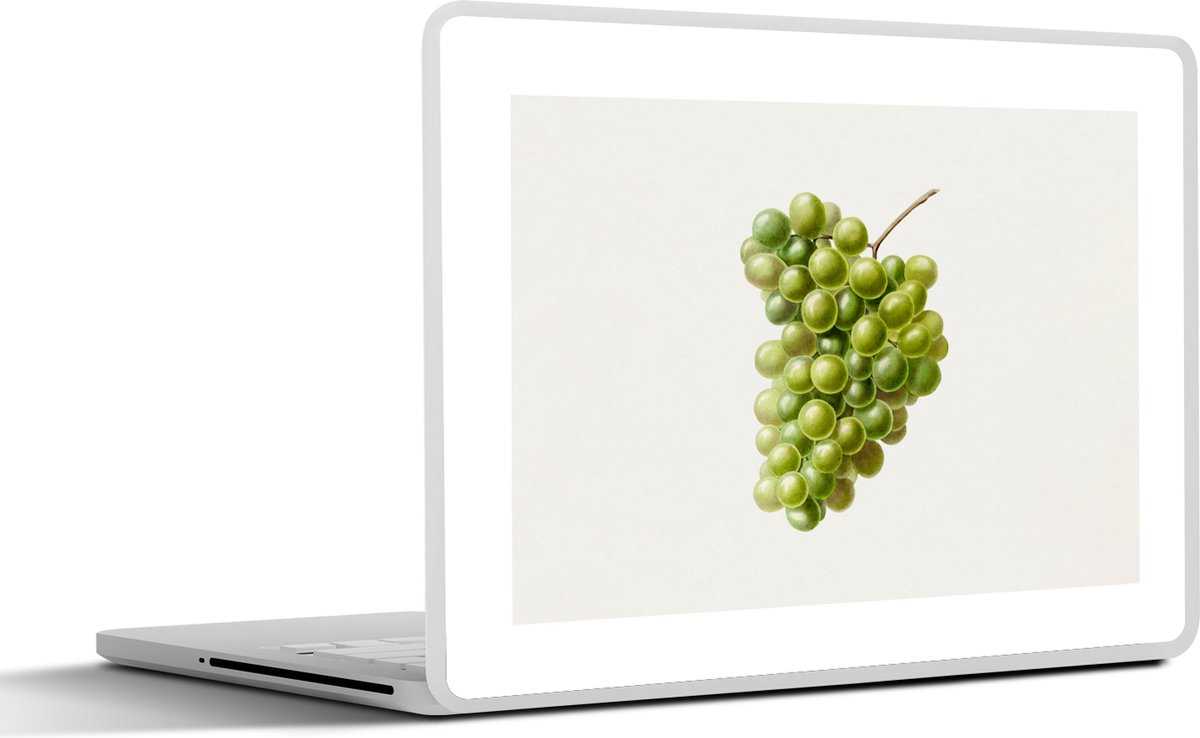 Laptop sticker - 12.3 inch - Druiven - Tros - Fruit - 30x22cm - Laptopstickers - Laptop skin - Cover