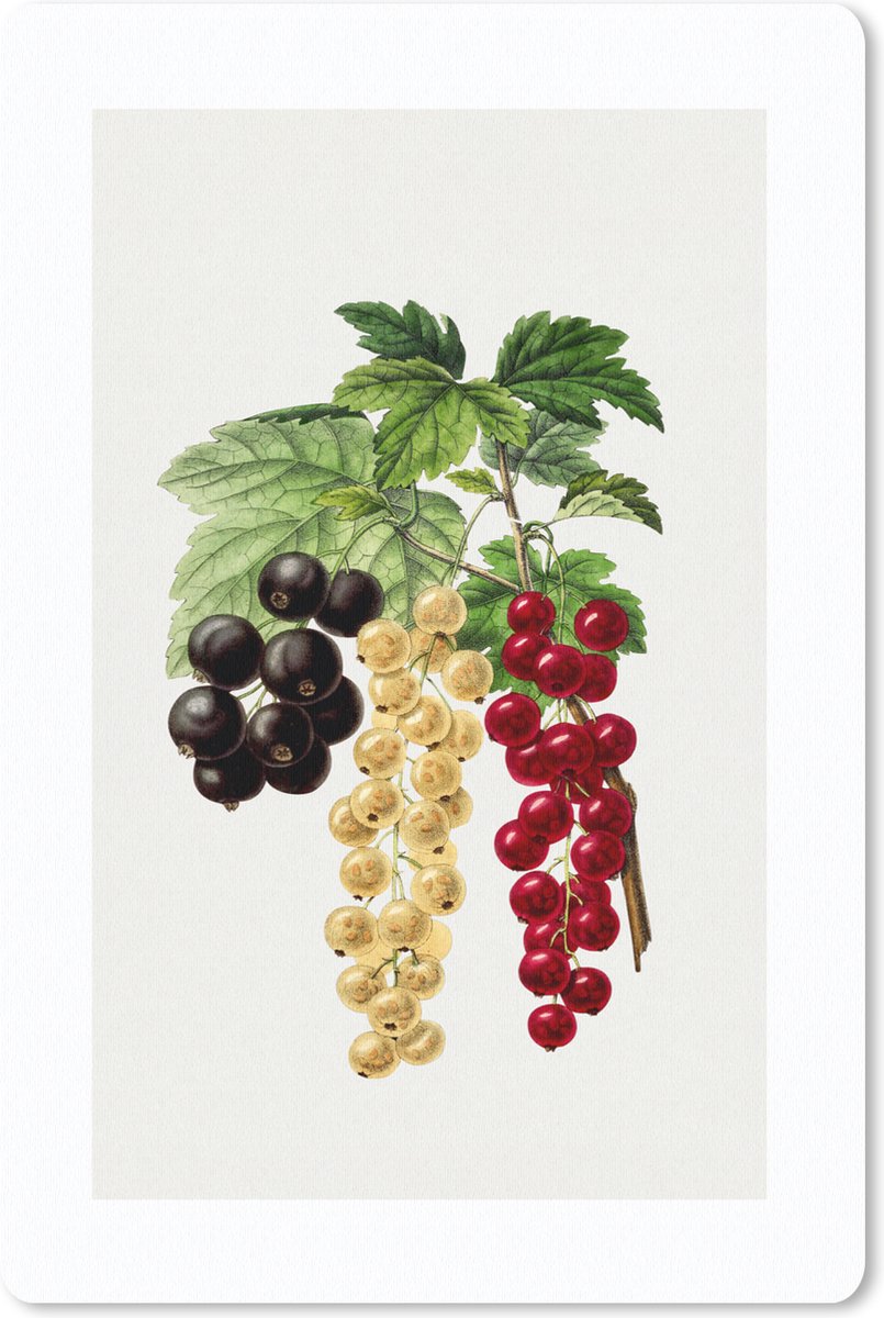 Muismat - Mousepad - Bessen - Fruit - Gezond - 18x27 cm - Muismatten