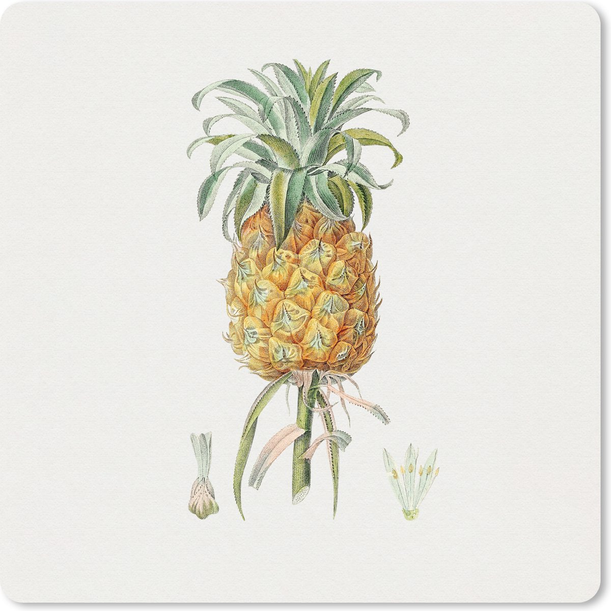 Muismat 30x30 cm - Mousepad Ananas - Fruit - Plant - Muismatten