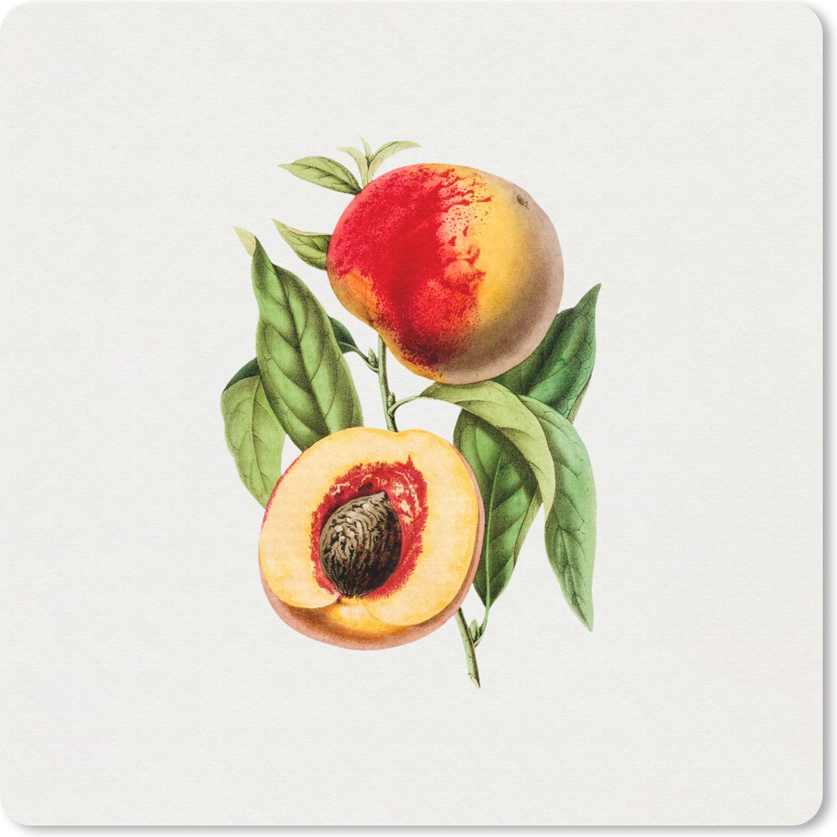 Muismat 30x30 cm - Mousepad Perzik - Fruit - Bladeren - Muismatten
