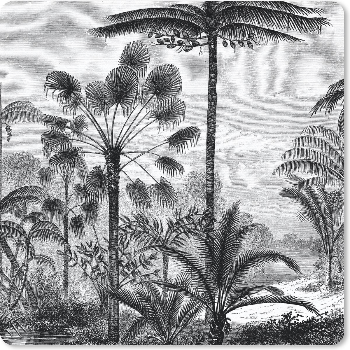 Muismat 20x20 cm - Mousepad Design - Bomen - Natuur - Planten - Botanisch - Muismatten