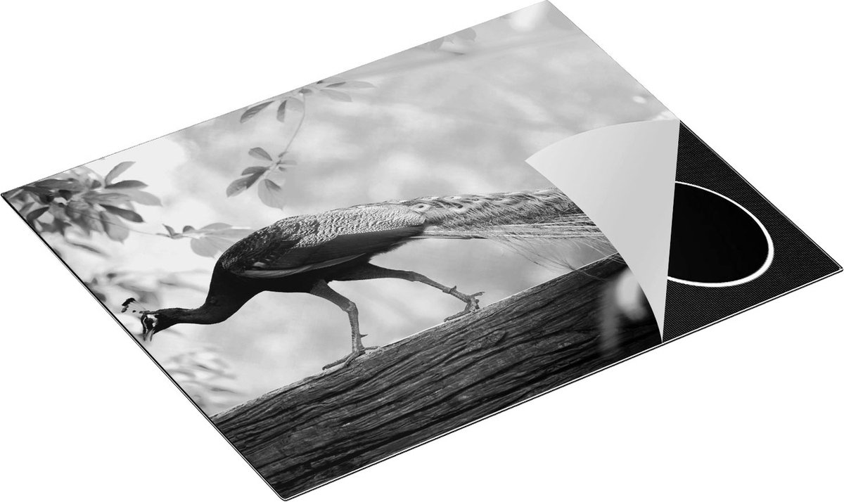 Chefcare Inductie Beschermer Pauw Loopt op een Tak in de Natuur - Zwart Wit - 65x52 cm - Afdekplaat Inductie - Kookplaat Beschermer - Inductie Mat