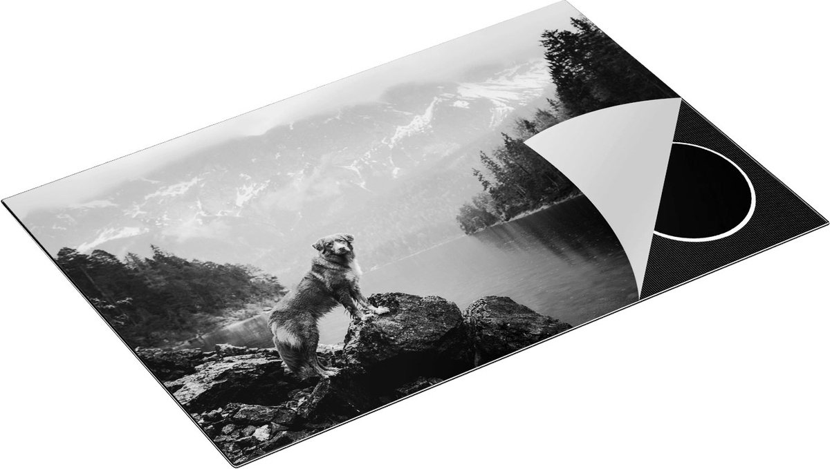 Chefcare Inductie Beschermer Retriever Hond bij het Water in de Bergen - Zwart Wit - 81x52 cm - Afdekplaat Inductie - Kookplaat Beschermer - Inductie Mat