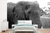 Behang - Fotobehang Close-up van een olifant in de natuur in zwart-wit - Breedte 390 cm x hoogte 260 cm