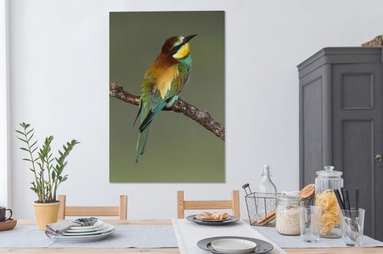 Guêpier d'Europe (Merops apiaster) se trouve sur une branche Sardaigne Italie Toile 80x120 cm - Tirage photo sur toile (Décoration murale salon / chambre)