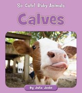 So Cute! Baby Animals - Calves