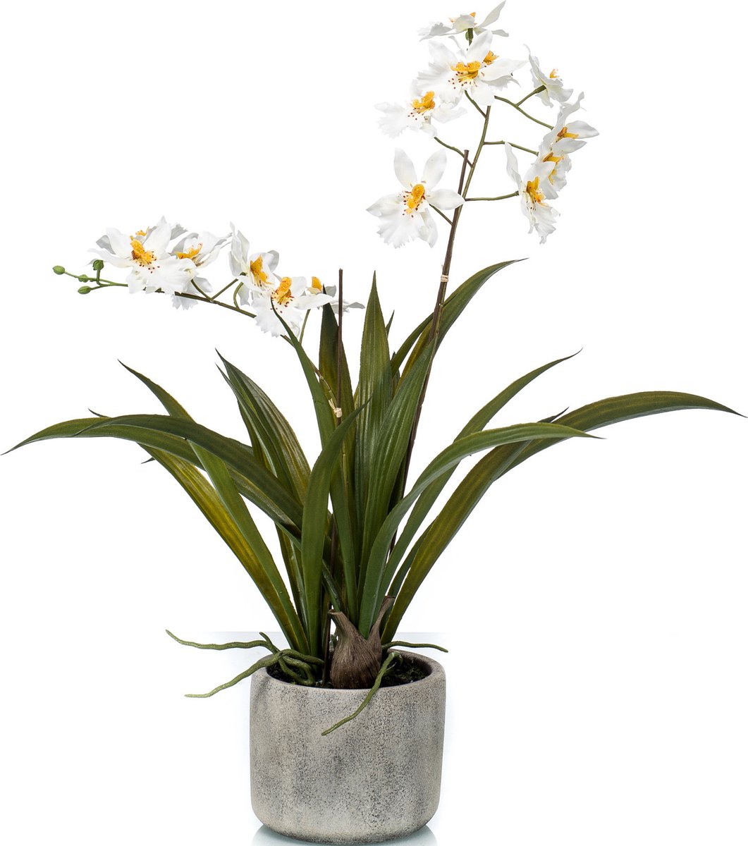 Emerald Witte orchidee kunstplant in keramische pot 45 cm - Orchidaceae - Woondecoratie/accessoires - Kunstplanten - Nepplanten - Orchidee planten in pot Multi