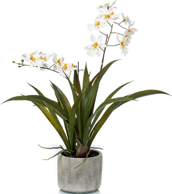 Orchidée Witte artificielle en pot en céramique 45 cm - Orchidacées - Décoration / accessoires de la maison - Plantes artificielles - Plantes d'orchidées en pot