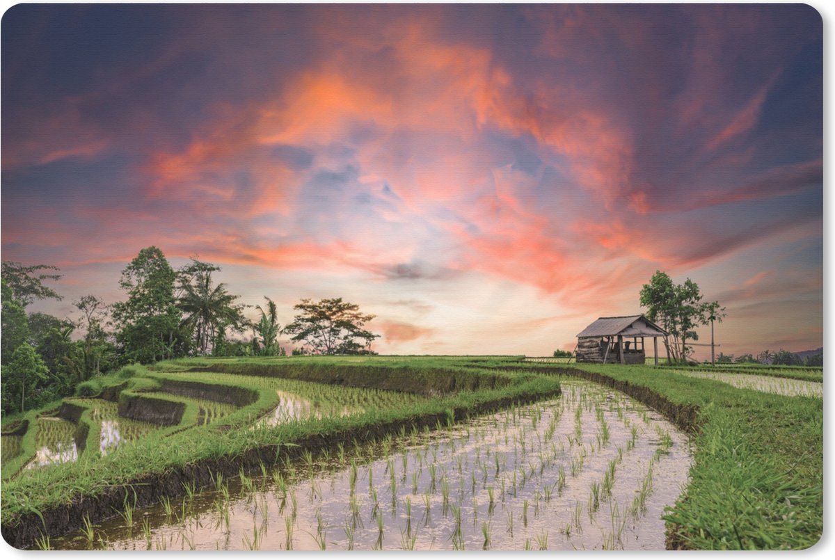 Muismat XXL 120x80 cm - Bureau onderlegger - Bureau mat Het fantastische landschap van Thailand met rijstvelden - Bureaumat - Gaming mousepad xl - Bureaulegger groot - Computer deskmat