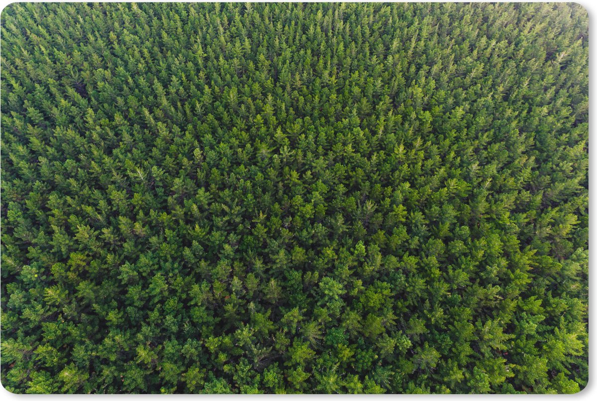 Muismat XXL 120x80 cm - Bureau onderlegger - Bureau mat Bos - Nieuw-Zeeland - Natuur - Bureaumat - Gaming mousepad xl - Bureaulegger groot - Computer deskmat