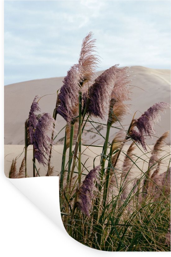 Stickers muraux - Film autocollant - Herbe de la pampa - Sable - Plantes -  Dune 