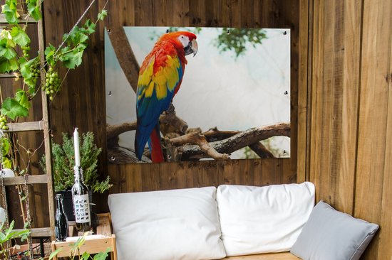 Poster de Jardin Perroquet - Vogel - Arc-en-ciel - Tropical - 200x200 cm - Toile de jardin