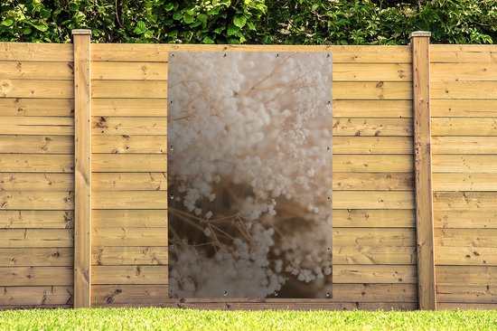 Affiche de jardin - Pampa - Herbe de la pampa plante de jardin - Plantes - Nature - Rose - 120x180 cm - Affiche de jardin fleurs - Jardin - Décoration murale - Décoration murale