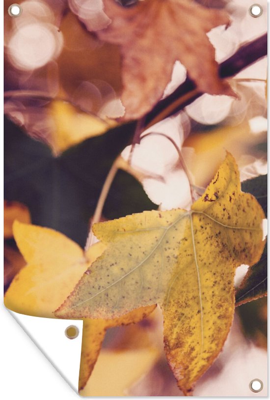 Affiche de jardin - Automne - Feuilles - Esdoorn - Oranje - 60x90 cm - Tableau de jardin - Décoration de jardin