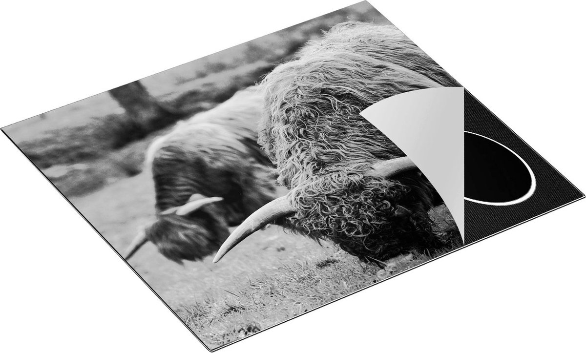 Chefcare Inductie Beschermer Twee Schotse Hooglanders Koeien Grazen Gras - Zwart Wit - 58,3x51,3 cm - Afdekplaat Inductie - Kookplaat Beschermer - Inductie Mat