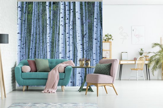 Papier peint photo peint photo vinyle - Witte' arbres blancs largeur 300 cm x hauteur 300 cm - Tirage photo sur papier peint (disponible en 7 tailles)