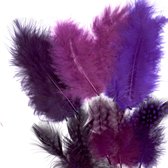 Vaessen Creative Marabou - feathers & guinea fowl - 5-13cm - Magic