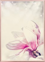 Poster Met Metaal Rose Lijst - Bloemen Magnolia Poster