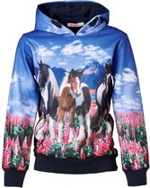 Meisjes marine/blauw trui hoodie met paarden | Maat 92/2Y
