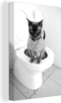 Canvas Schilderij Een Burmees kat zit op het toilet - zwart wit - 60x90 cm - Wanddecoratie